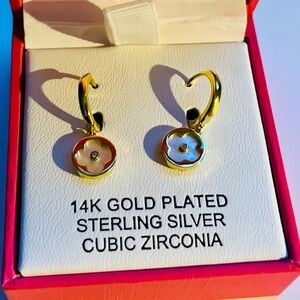14K gold plated Earrings